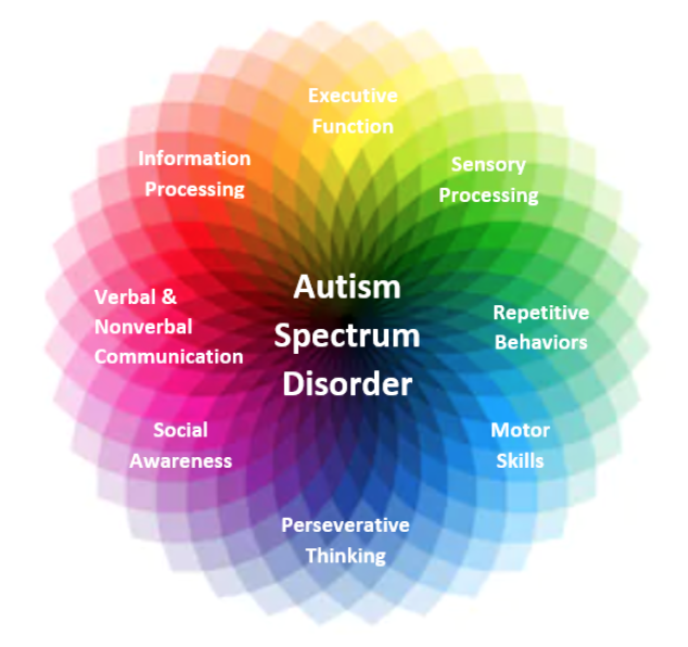 key school autism spectrum disorder asd